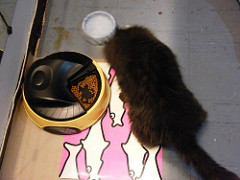 cat